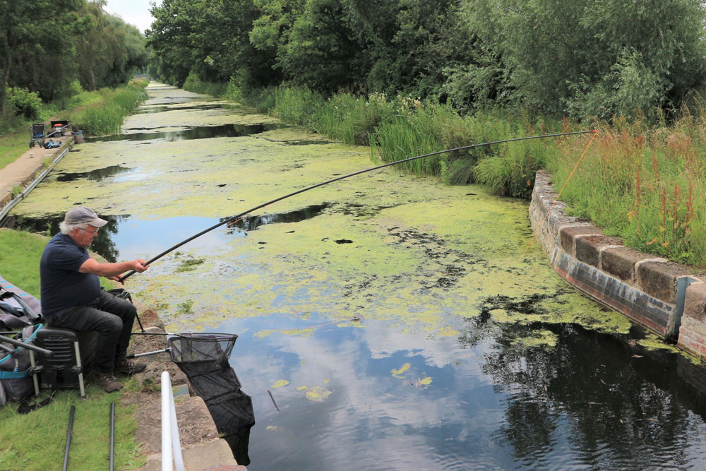 Canal Fishing