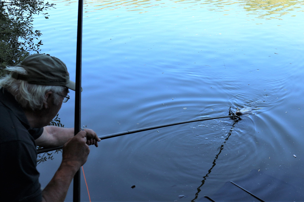 Dave Coster Pole Fishing