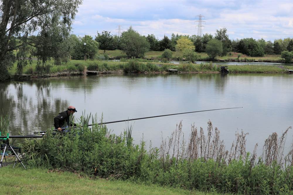 Dave Coster Pole Fishing