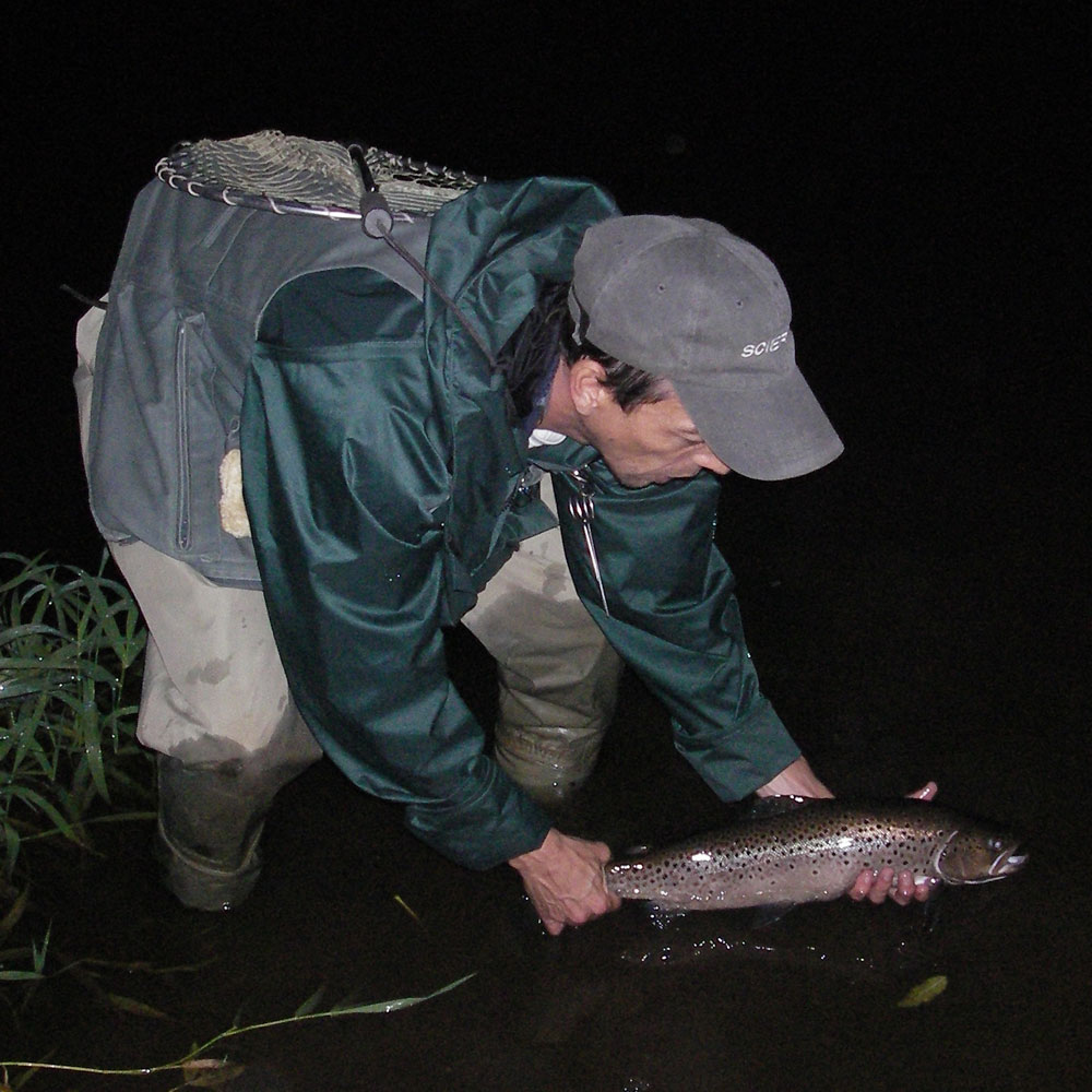 Flyfishing, rivers, lakes Ireland: trout, salmon, sea trout