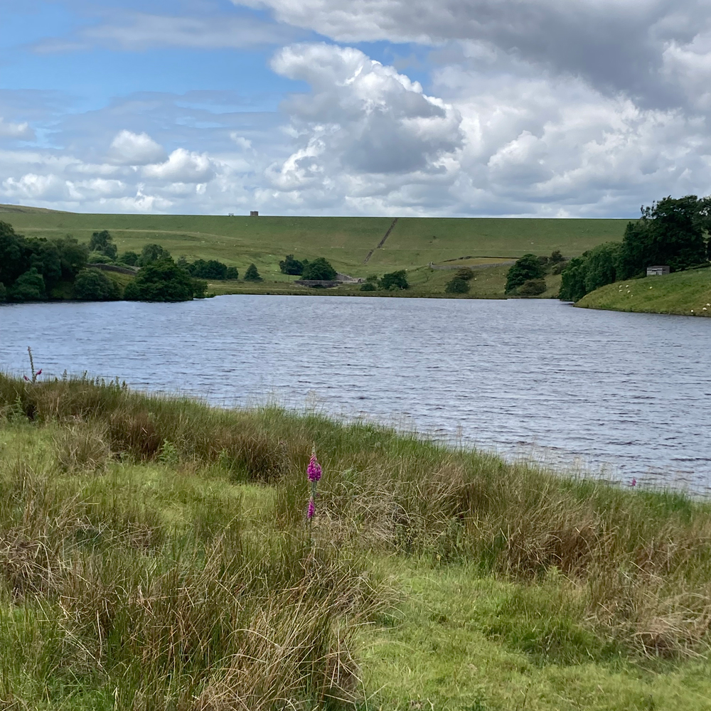 Blackton Reservoir