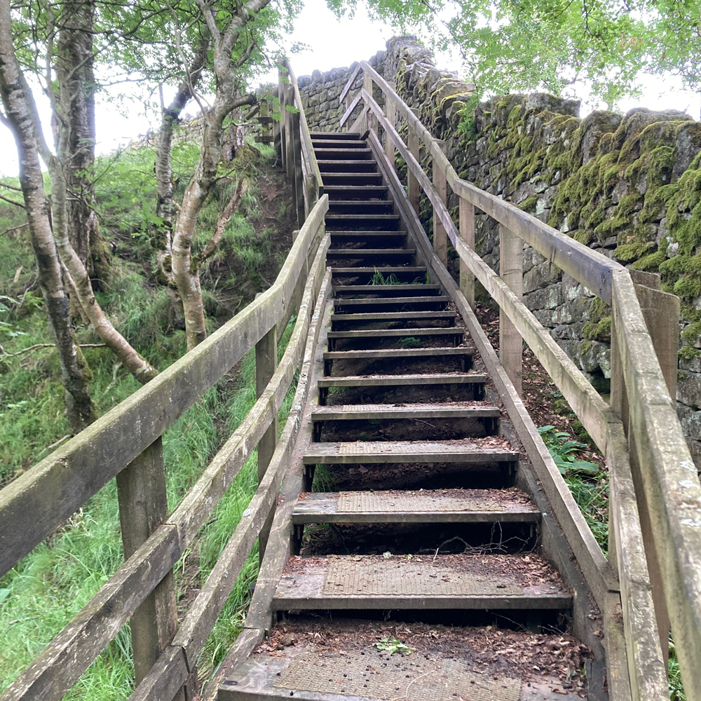 Blackton Reservoir