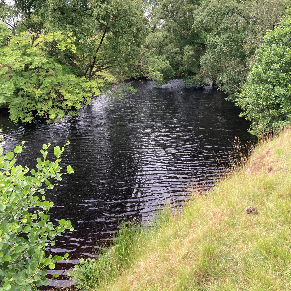 Blackton Reservoir