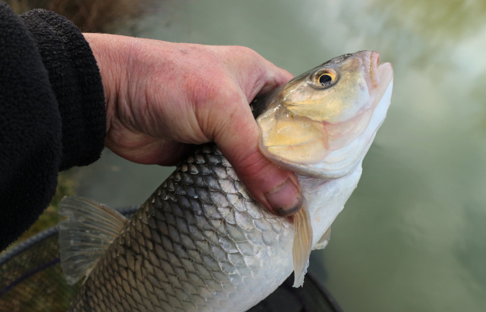 How to fish canals