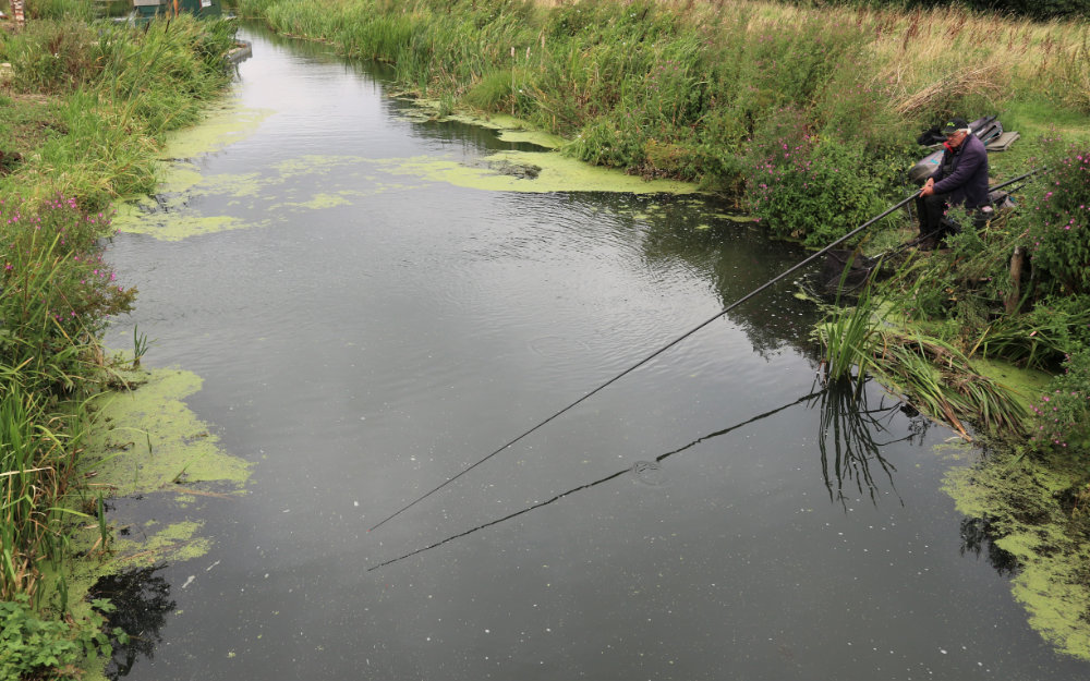 How to fish canals