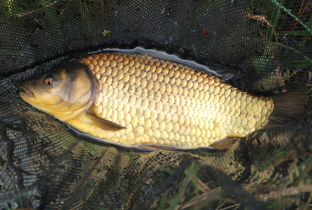 Winter Fishing with Dave Coster