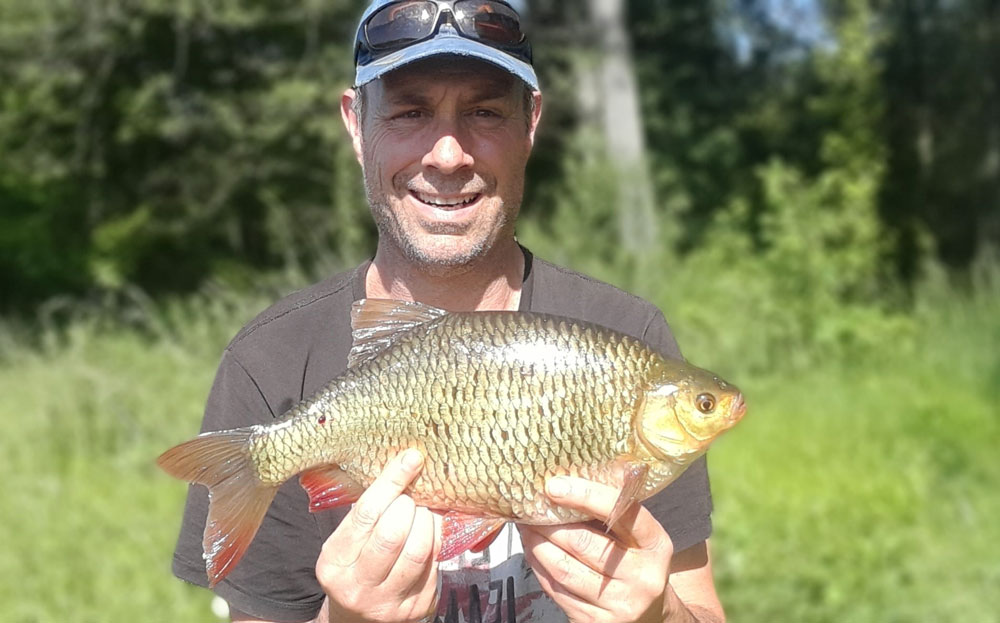 The Specimen Fishing Scene in France - Rudd