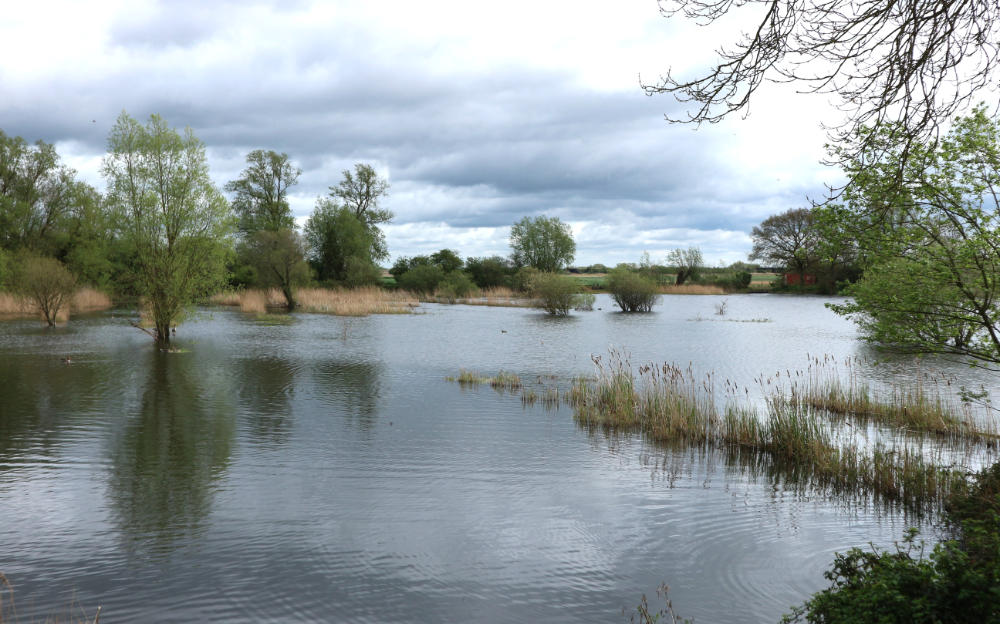 Fenland Fishing