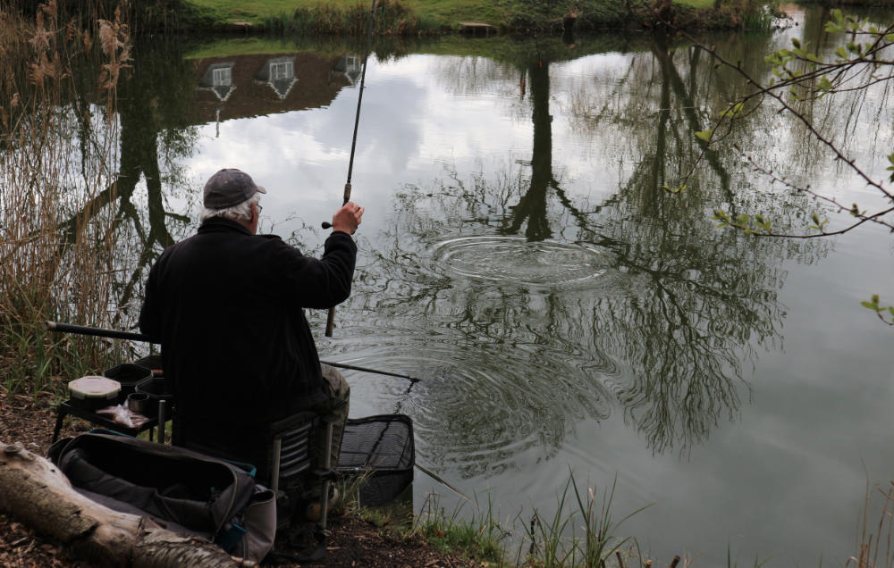 Hybrid Fishing