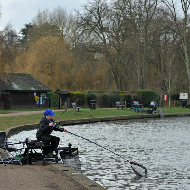 cadence fishing tackle